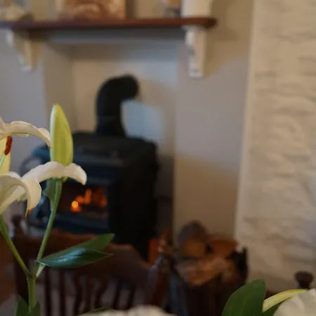 Bed & Breakfast House