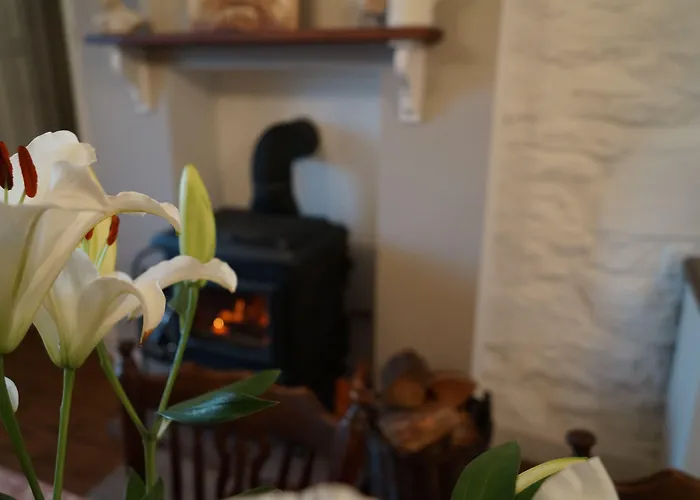 Bed & Breakfast House